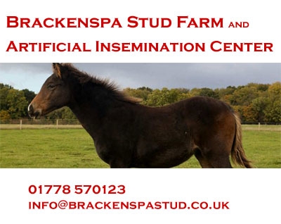 Brackenspa Stud Farm